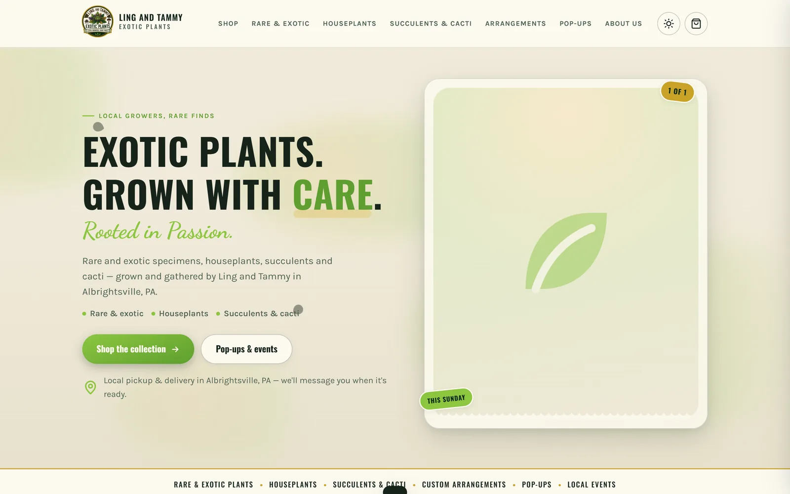 The Ling & Tammy Exotic Plants shop: Exotic plants, grown with care. Rooted in passion.